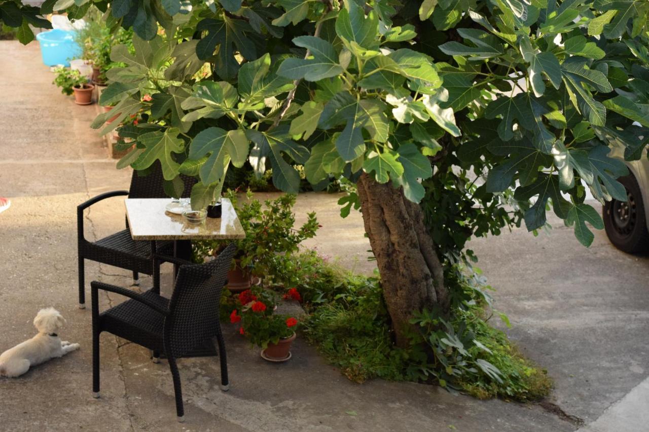 Studio Apartman Marina Vodice Exterior foto